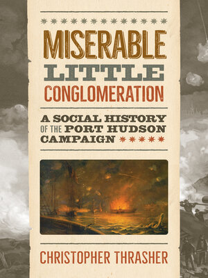cover image of Miserable Little Conglomeration